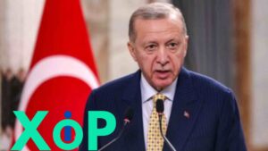 Erdogan's